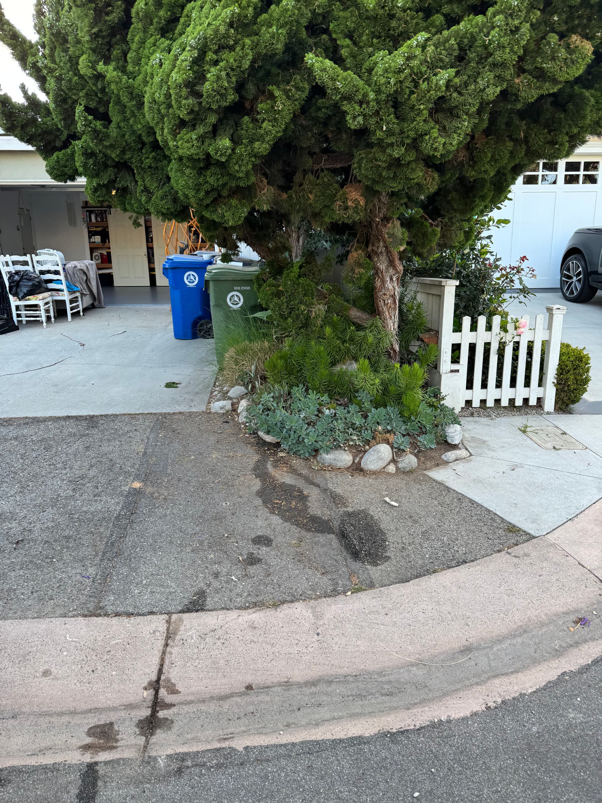 Gallery photos for Bulky Item Pickup and Yard Cleanup in Manhattan Beach: Image #4