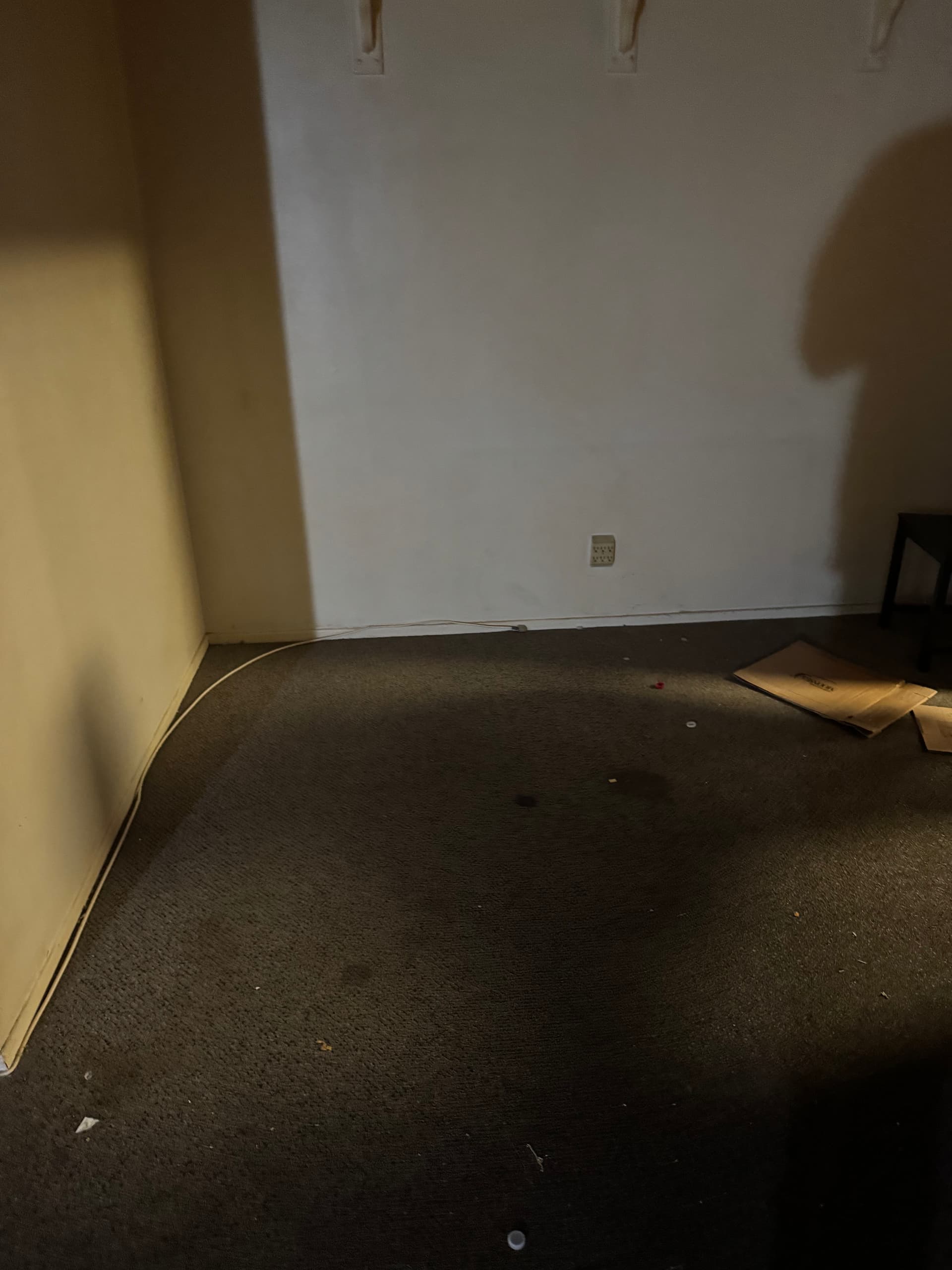 Gallery photos for Smoke-Damaged Apartment Cleanout in West Hollywood: Image #3