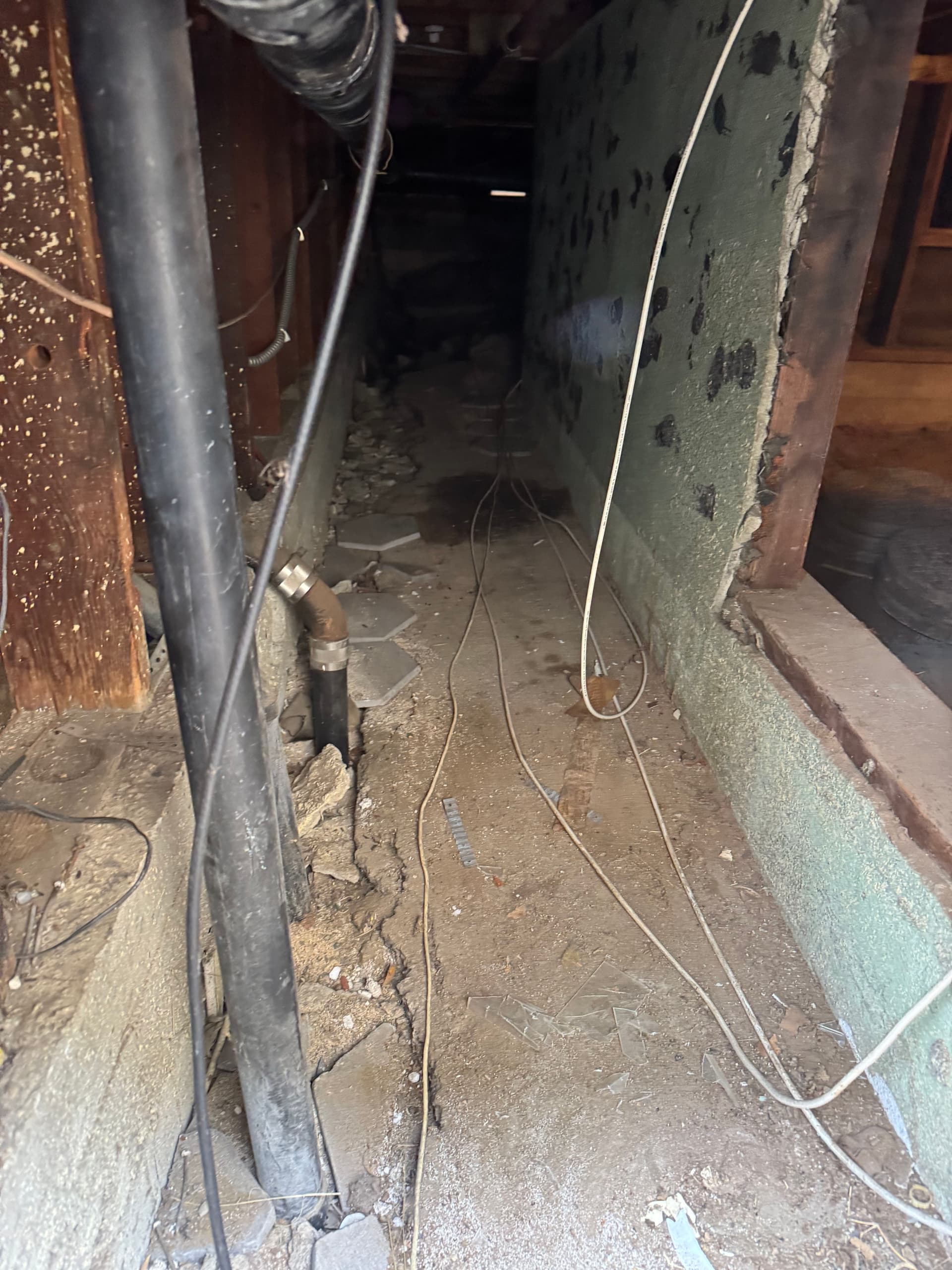 Gallery photos for Crawl Space Cleanout for a Contractor Partner in Redondo Beach: Image #6