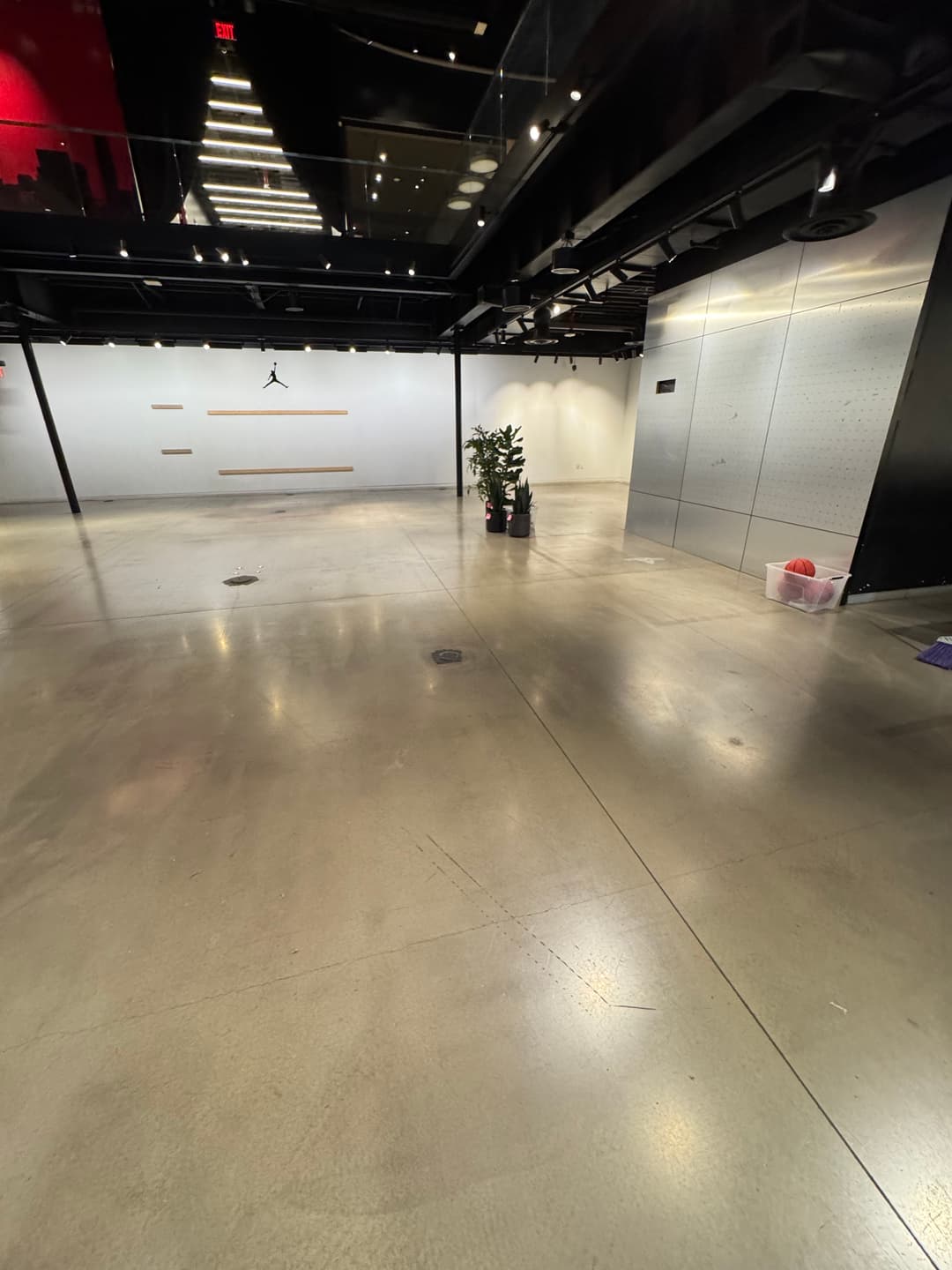 Empty indoor space with polished concrete floors, wall-mounted decor, and a potted plant.