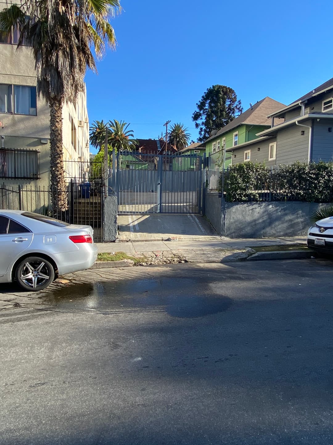 Gated entrance with palm trees and parked cars on a residential street.