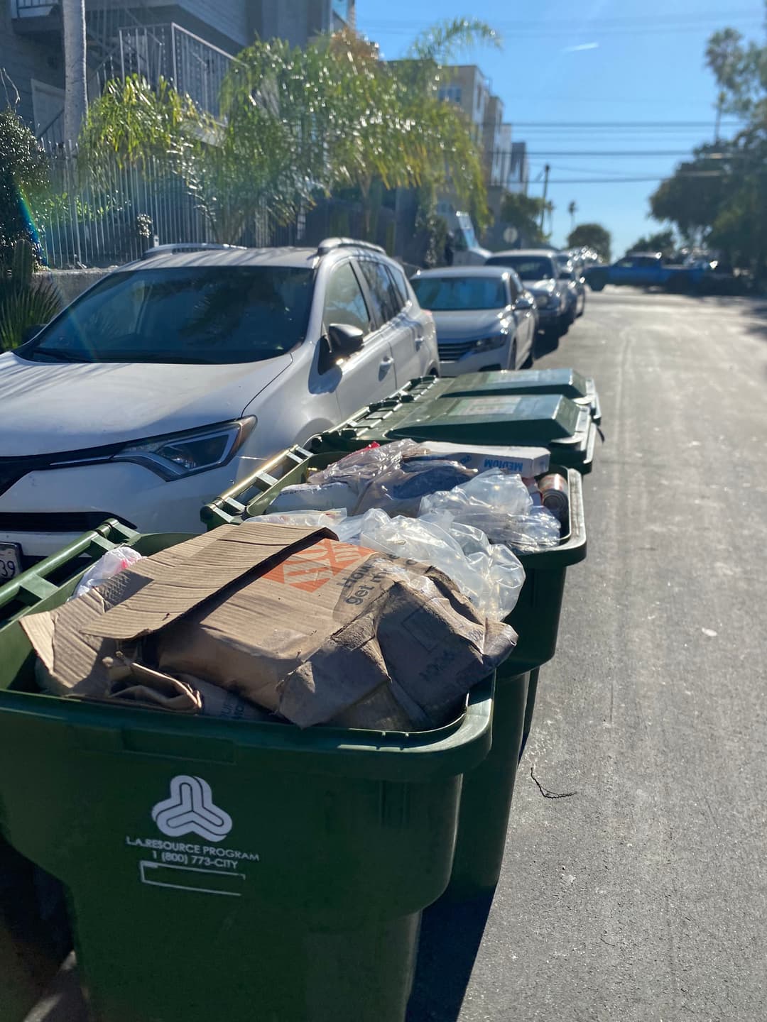 Overflowing green trash bins on a residential street with parked cars and palm trees.