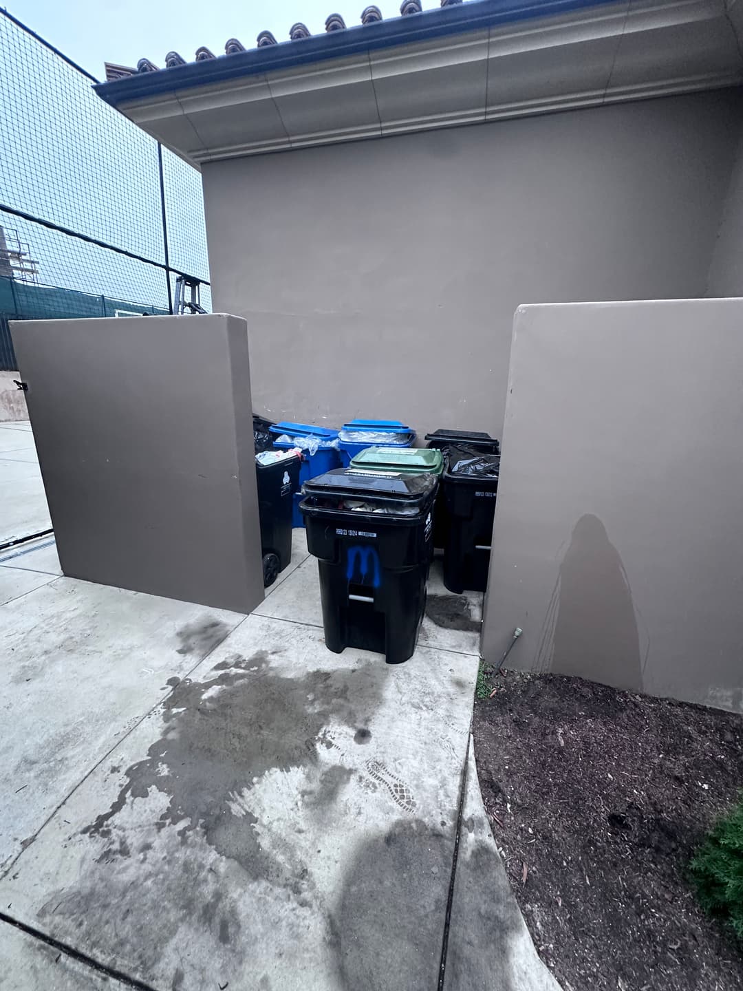 Row of trash and recycling bins behind a building on a concrete surface.