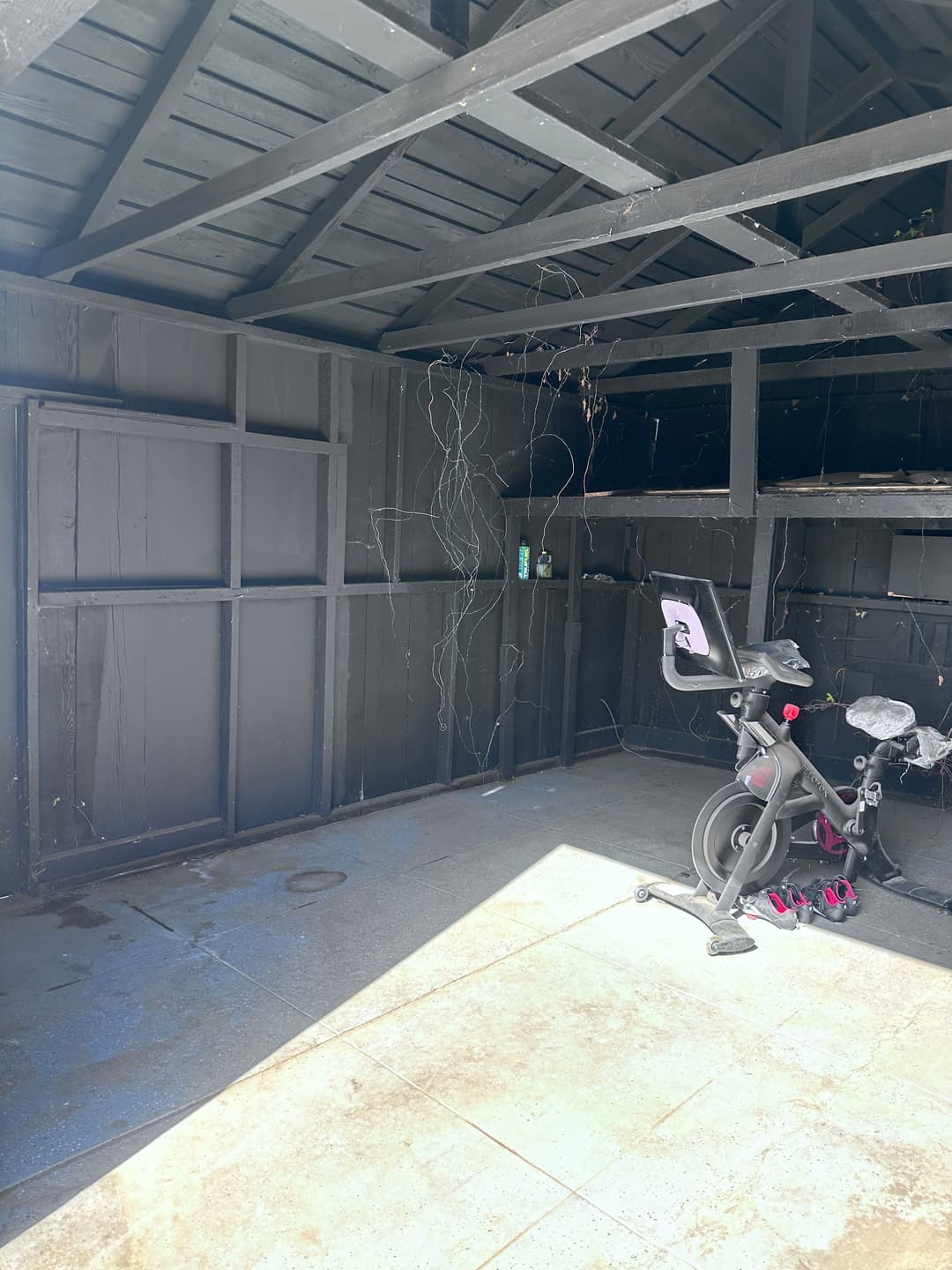 Empty shed interior with black walls, cobwebs, and a stationary bike in sunlight.