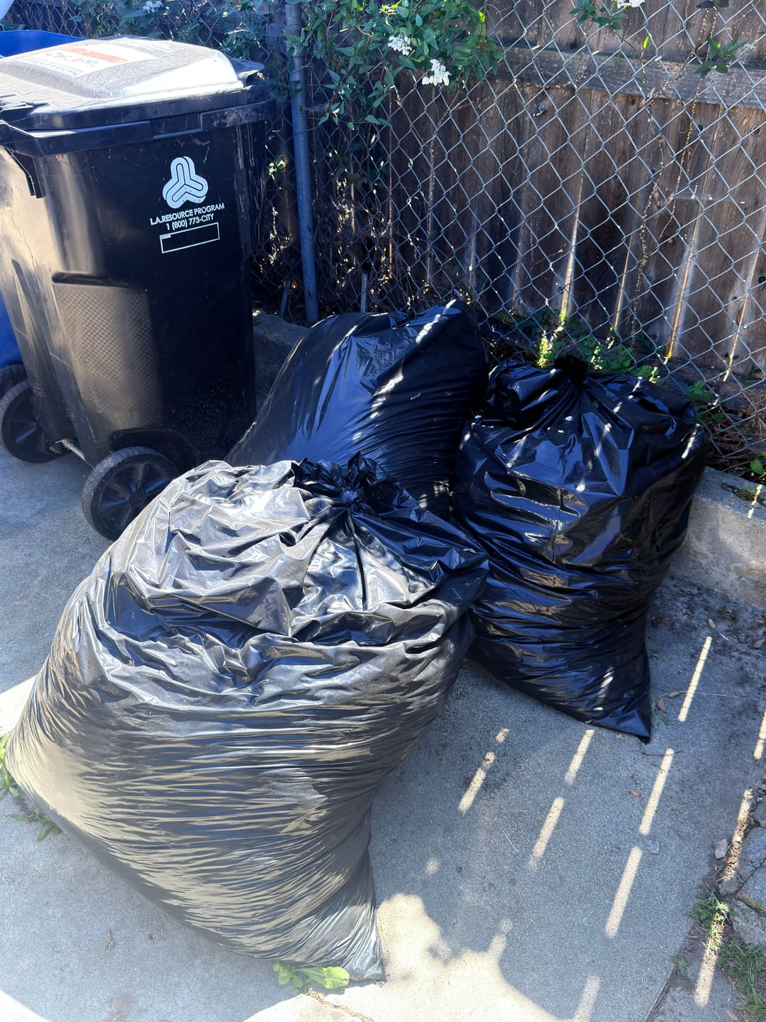 Black trash bags piled next to a waste bin on a concrete surface, surrounded by greenery.