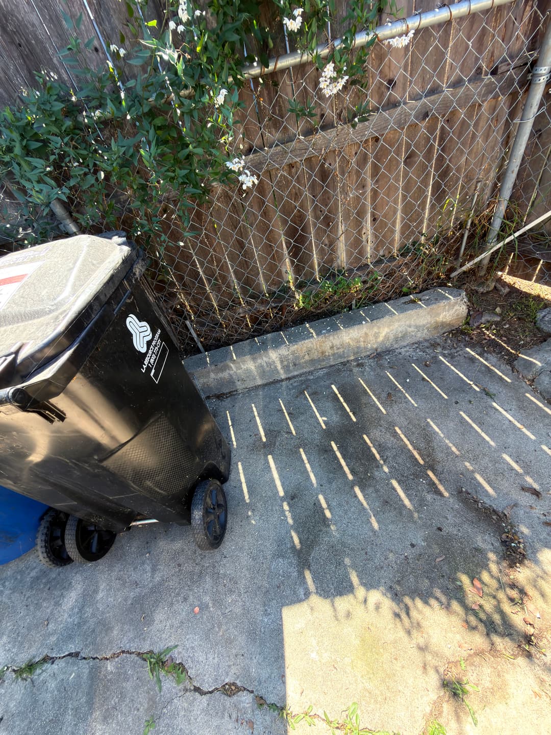 Black trash can next to a fence, casting shadows on concrete pavement in a backyard.