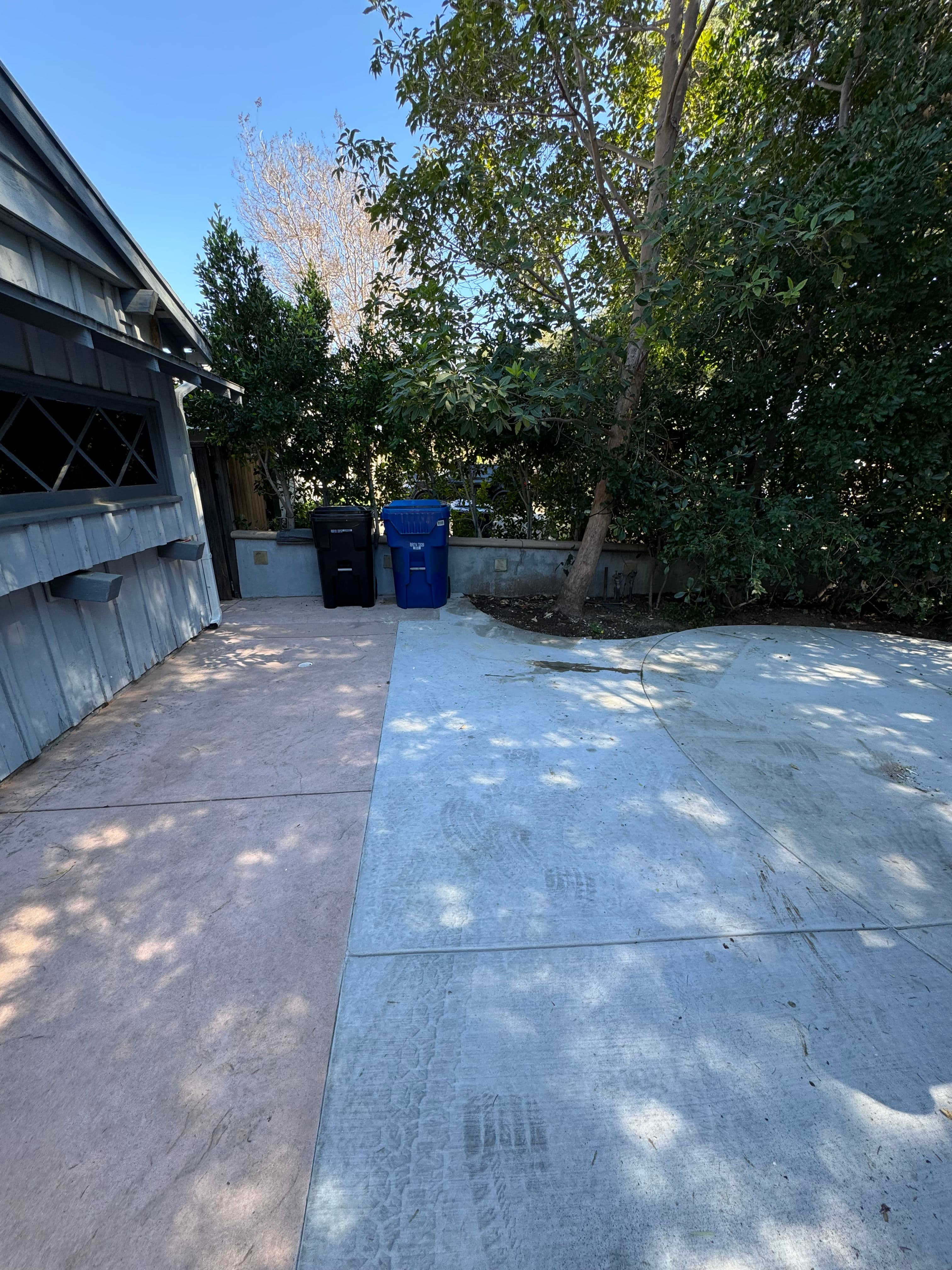 Clean outdoor space featuring a blue and black trash bin, surrounded by trees and concrete areas.