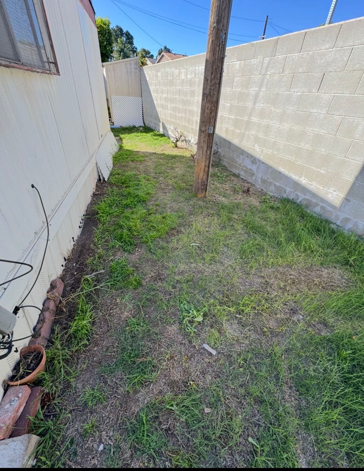 Narrow outdoor area between two buildings with grass and a utility pole.
