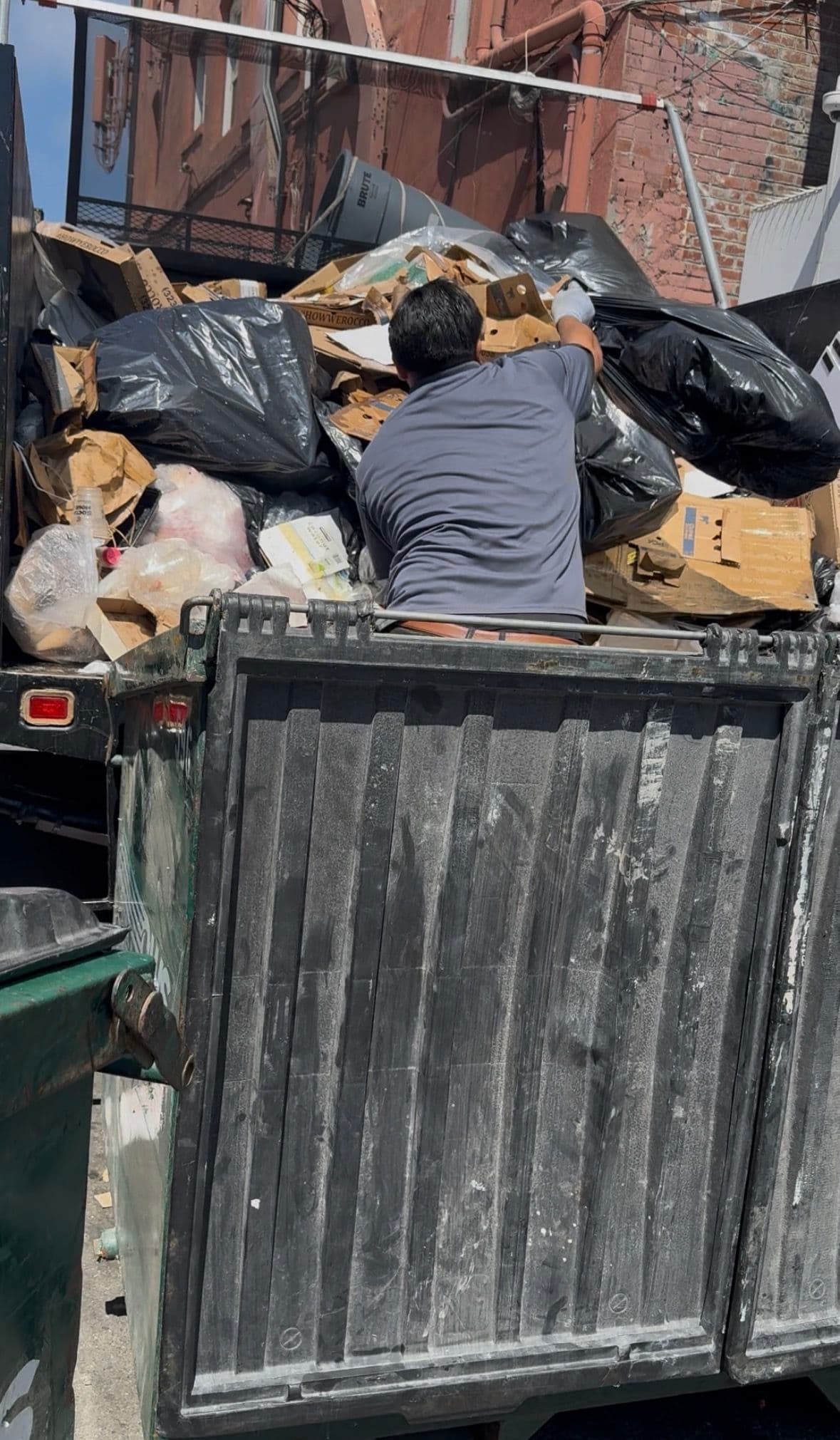 Gallery photos for World Cup Overflow Trash Cleanup in Venice CA: Image #1