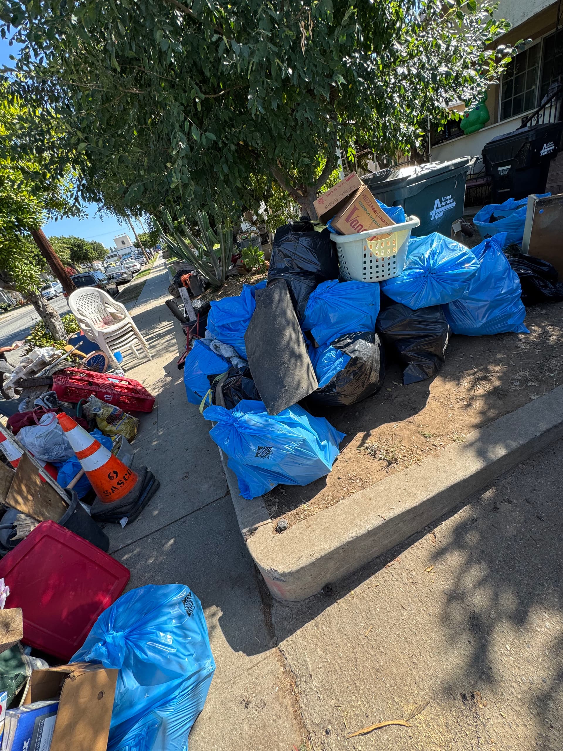 Gallery photos for Full Yard and Driveway Cleanout in Montebello CA: Image #2