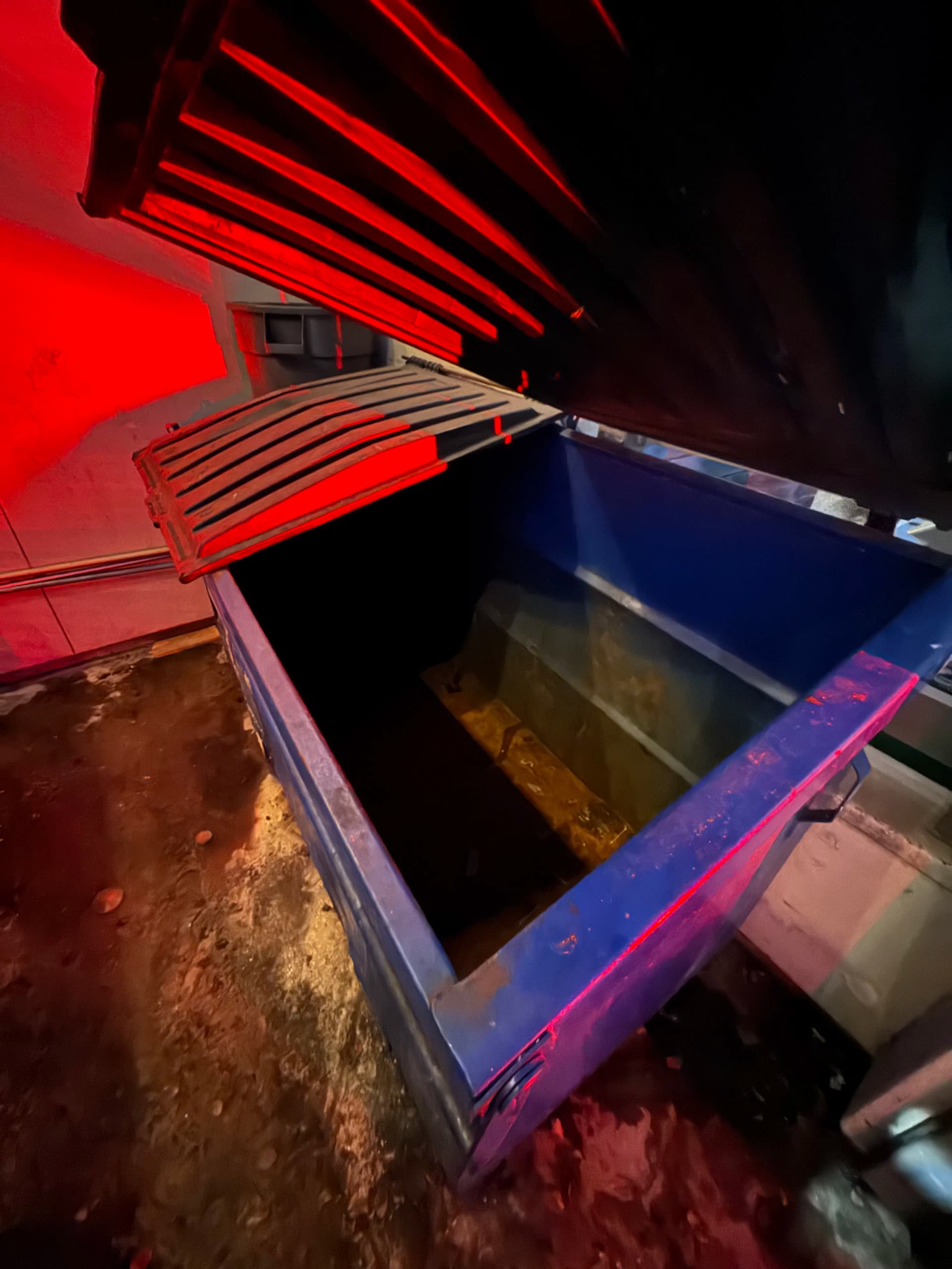 Gallery photos for Commercial Dumpster Emptying and Cleanup in Bel Air Los Angeles: Image #4