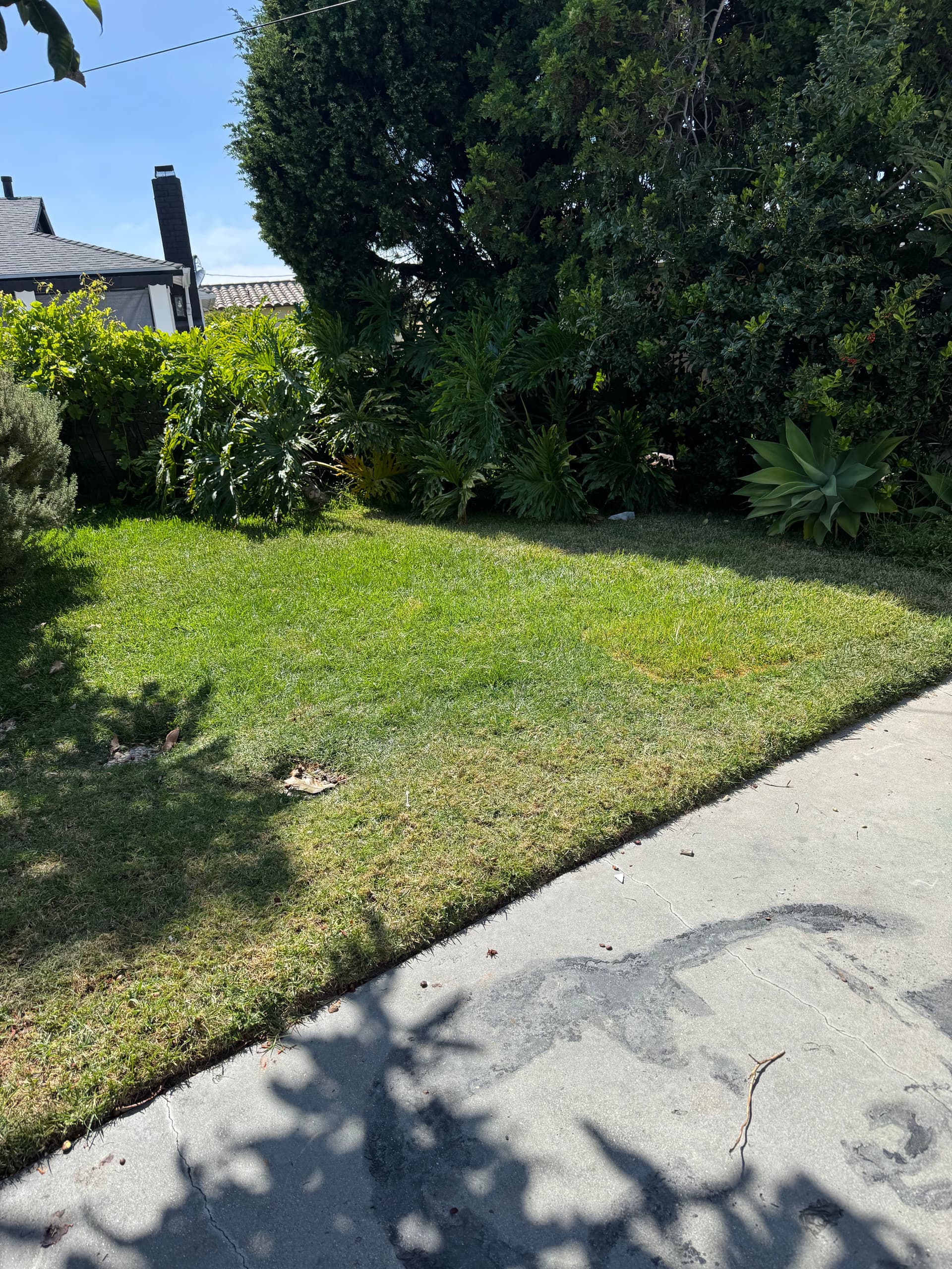 Gallery photos for Bulky Furniture and Household Junk Removal in Torrance CA: Image #3