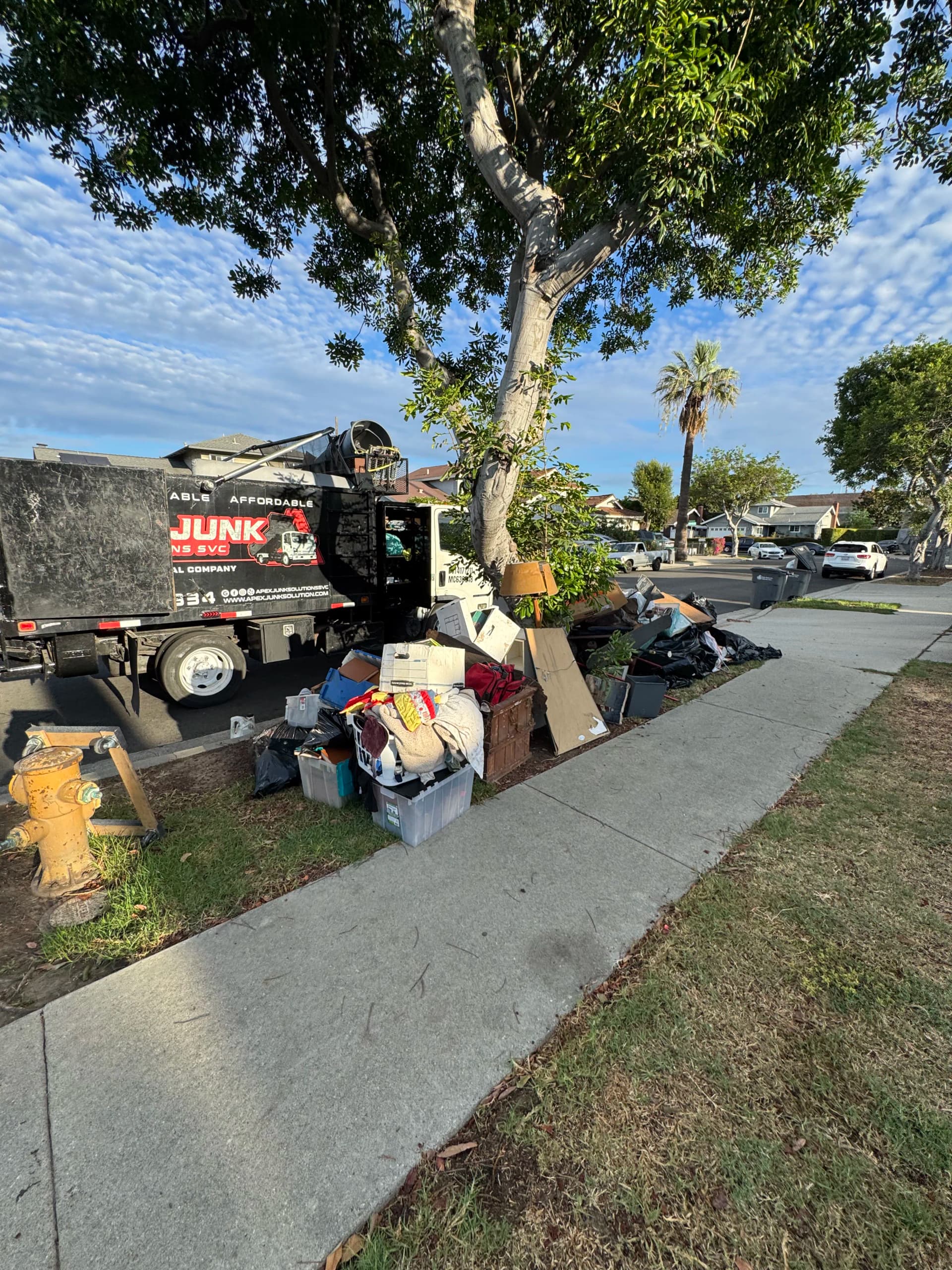 Pergola Demo and Full Household Junk Removal in Los Angeles image