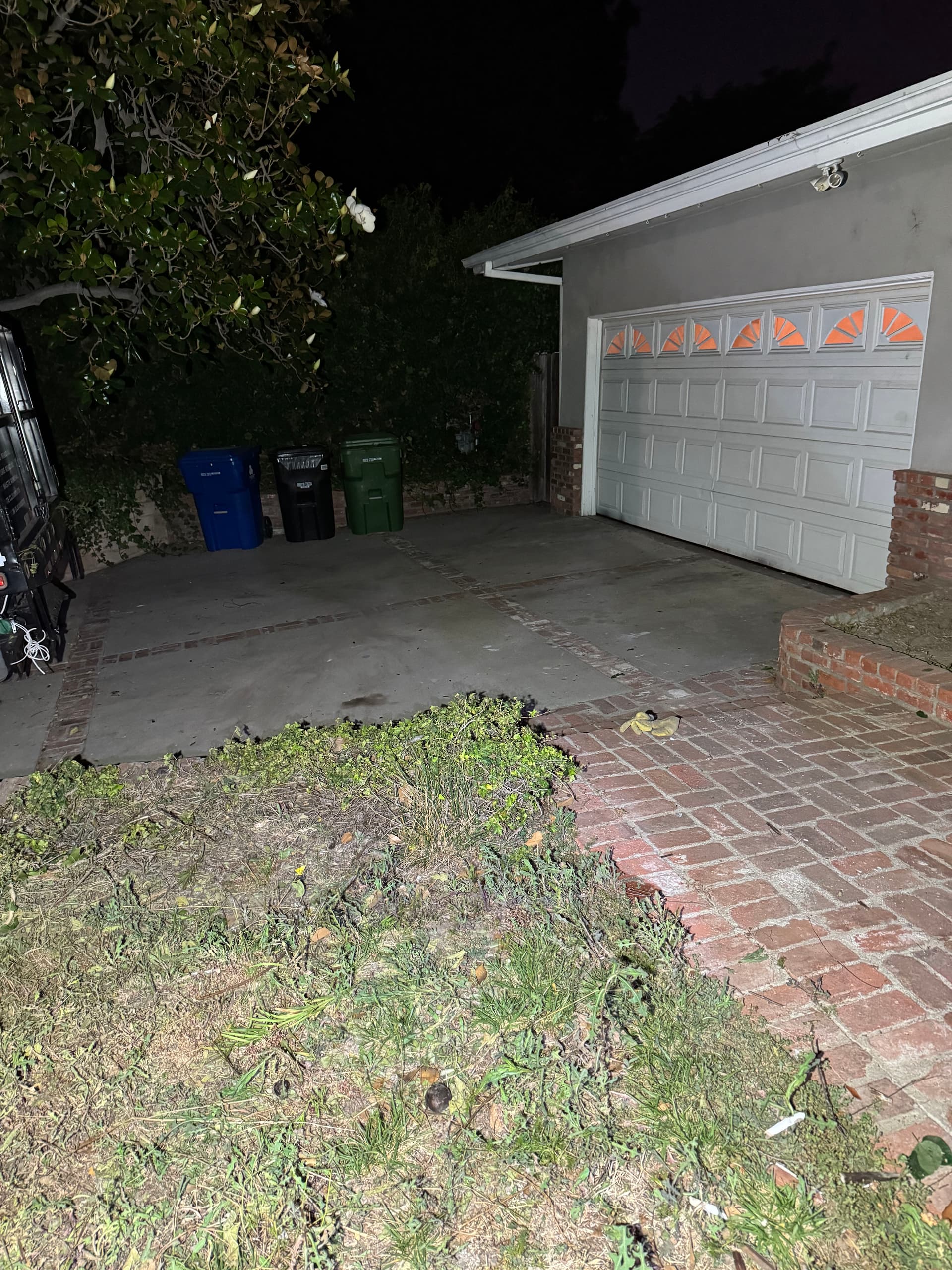 Gallery photos for Driveway Cleanup in Toluca Lake - Brush and Metal Gates Gone: Image #2