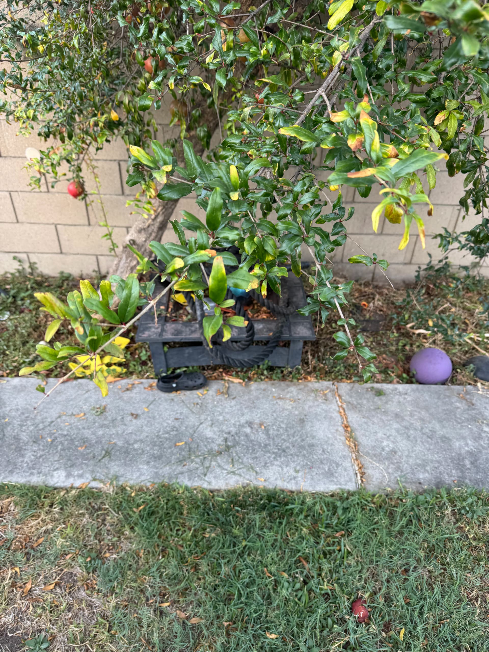 Gallery photos for Junk Removal Done Right in Cerritos Despite Trailer Challenges: Image #1