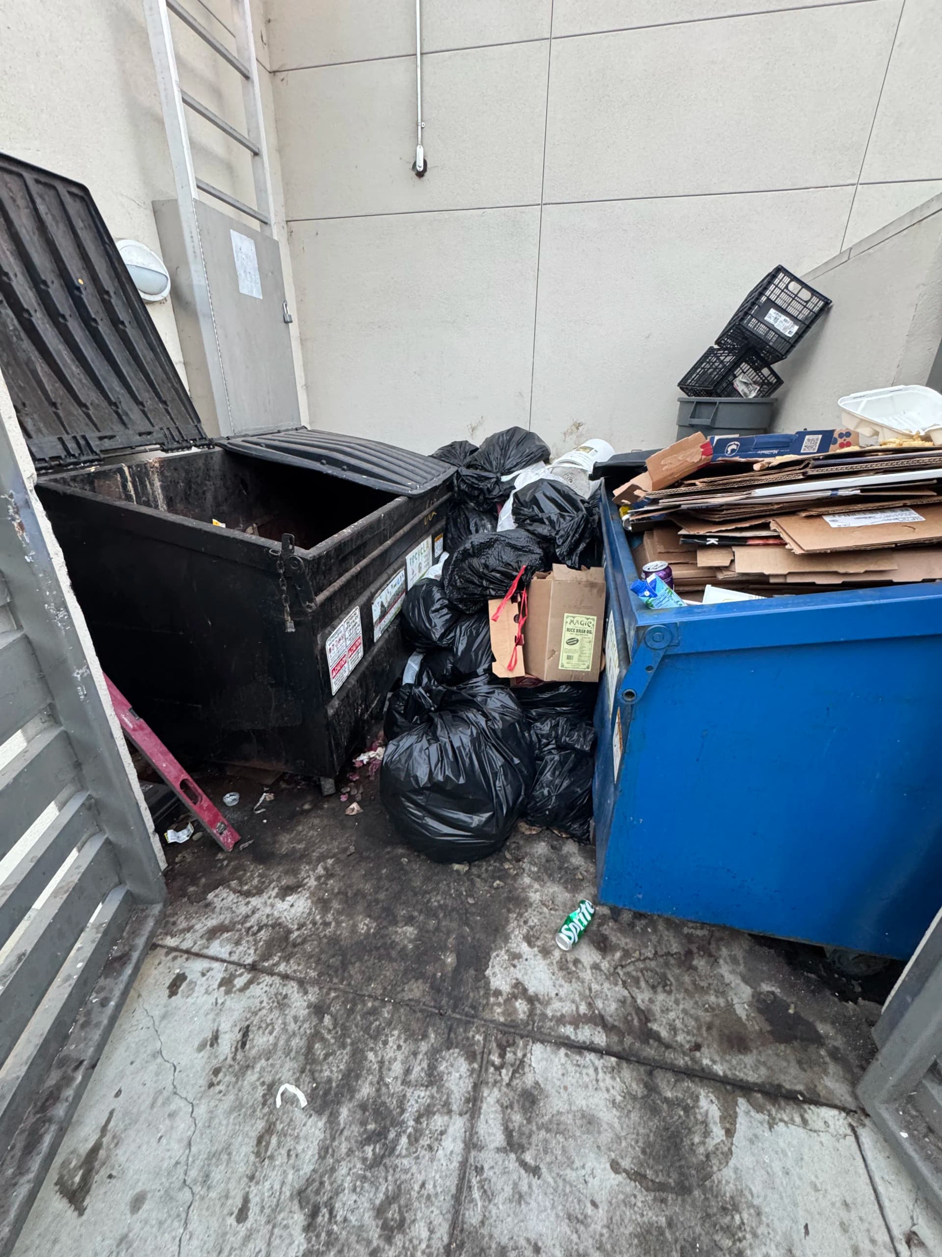 Commercial Dumpster Emptying and Cleanup in Bel Air Los Angeles image