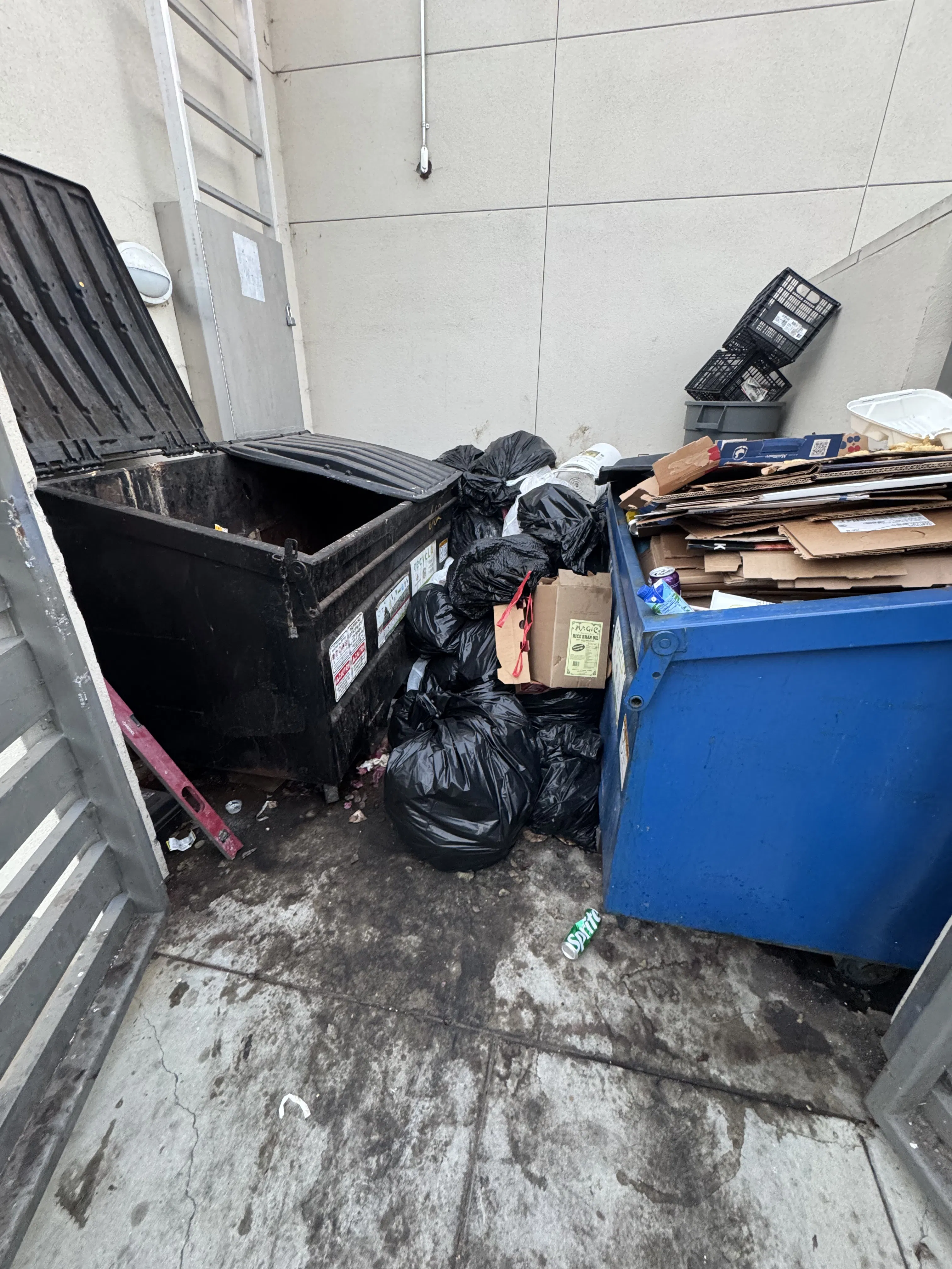 Project Commercial Dumpster Emptying and Cleanup in Bel Air Los Angeles image