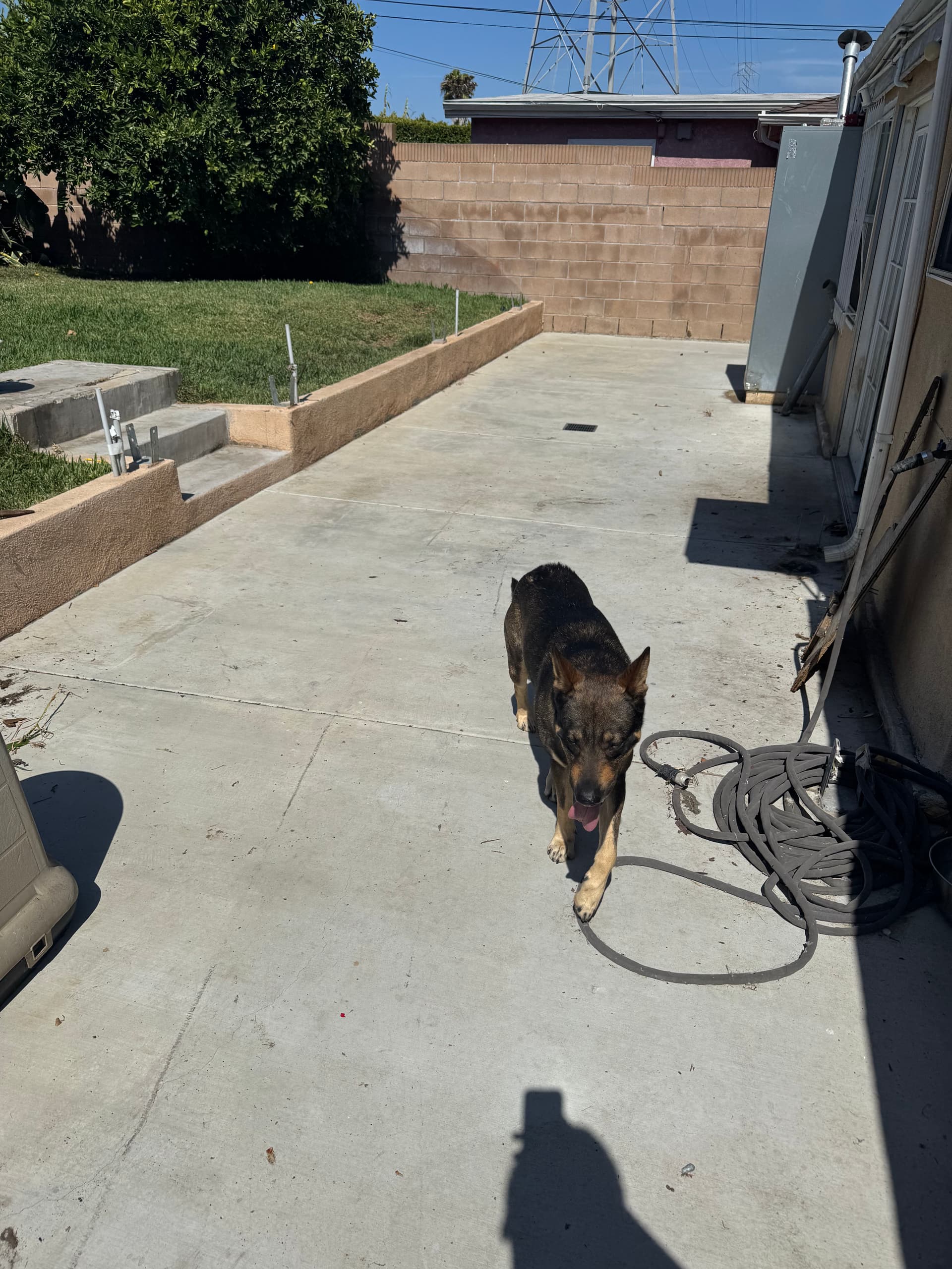Gallery photos for Heavy Bulky Item and Junk Removal in Gardena CA: Image #5