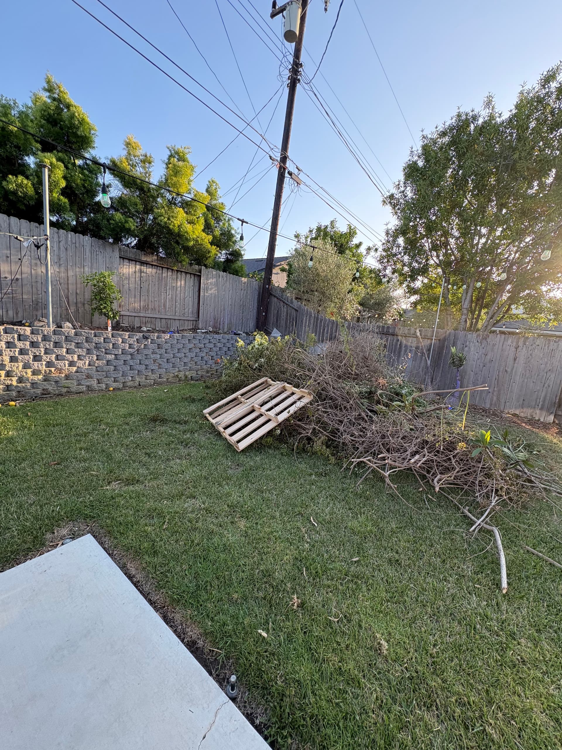 Yard Debris and Pallet Removal Done Right in Costa Mesa image