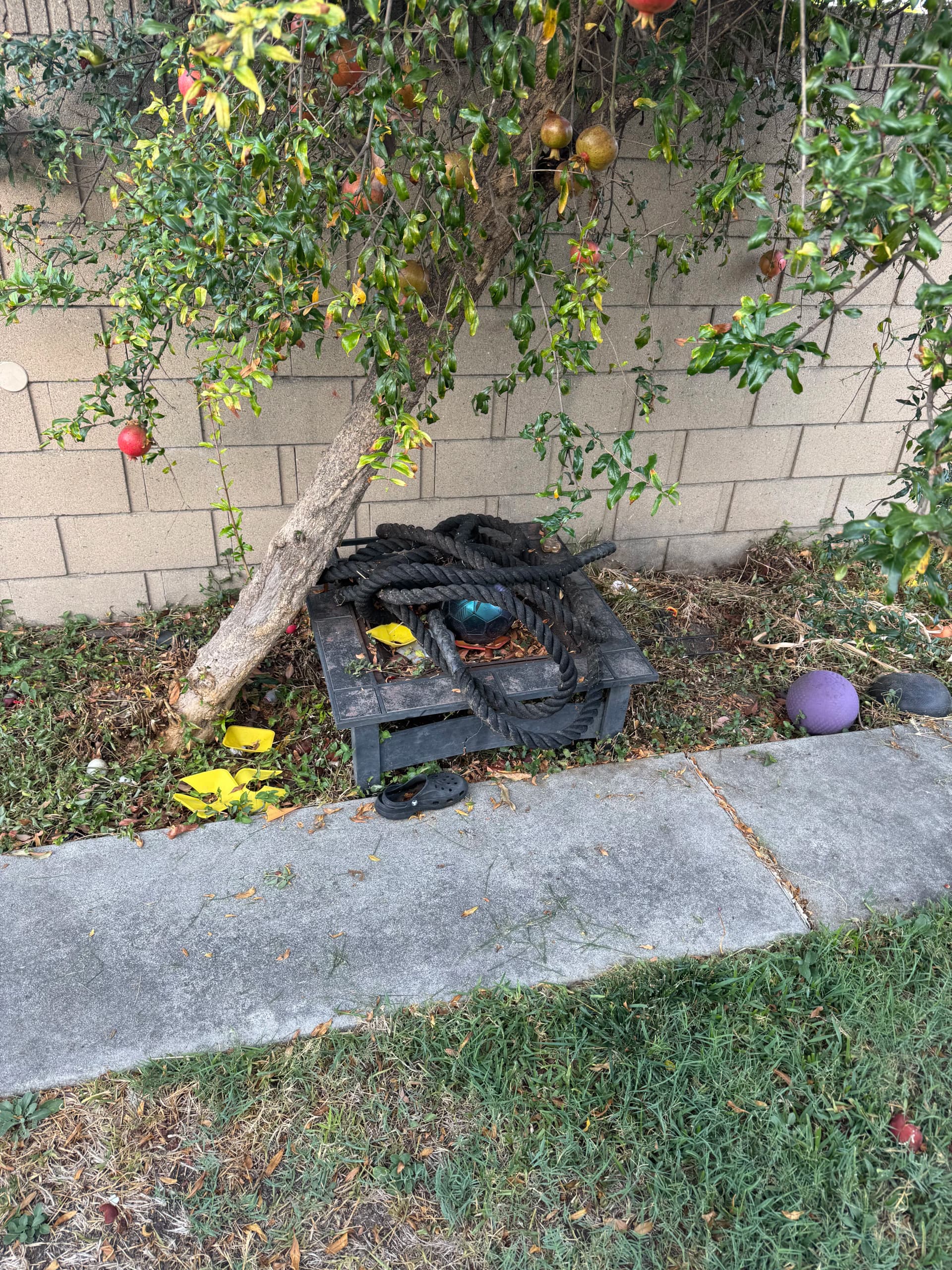 Gallery photos for Junk Removal Done Right in Cerritos Despite Trailer Challenges: Image #2