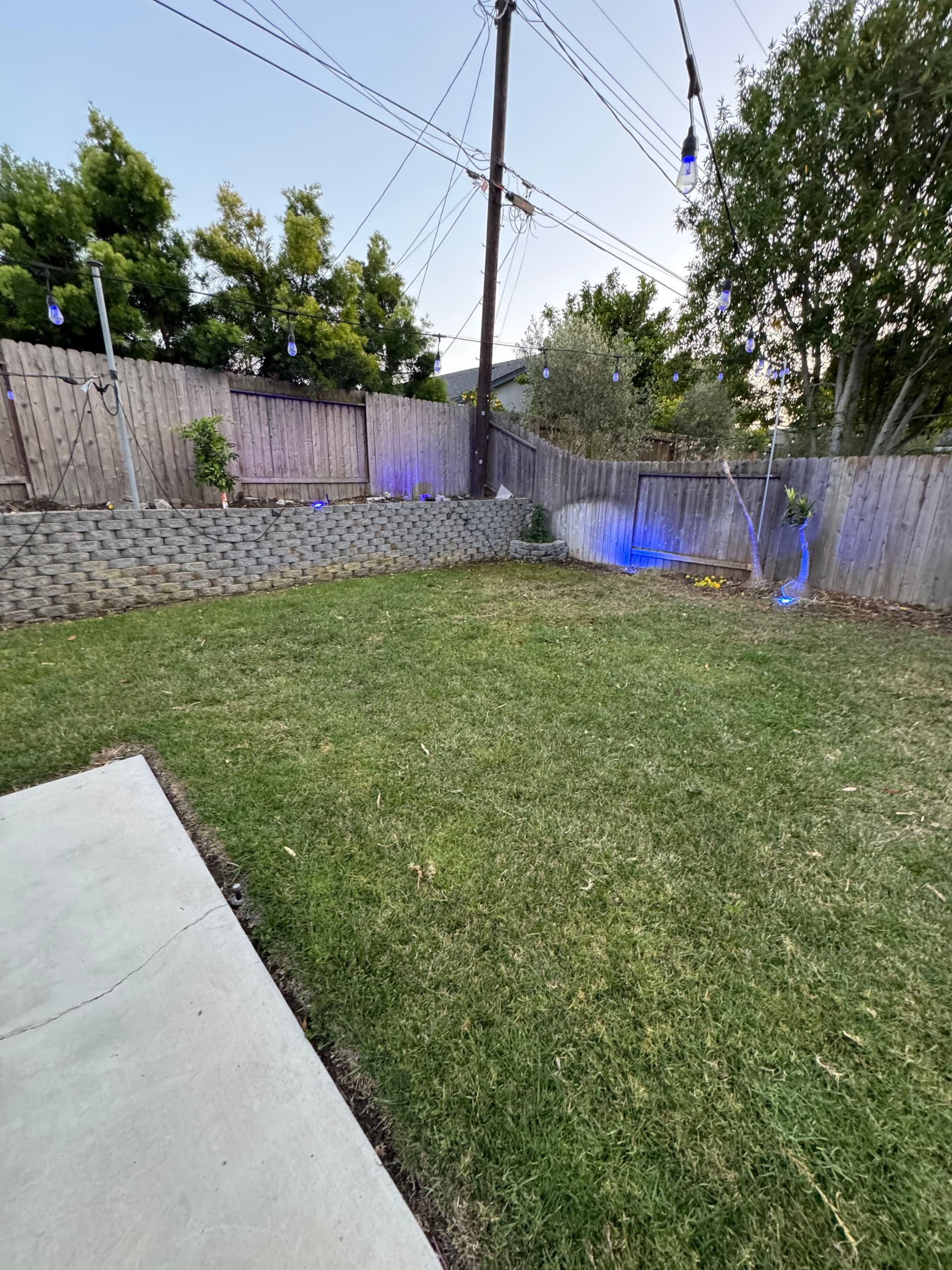 Gallery photos for Yard Debris and Pallet Removal Done Right in Costa Mesa: Image #1