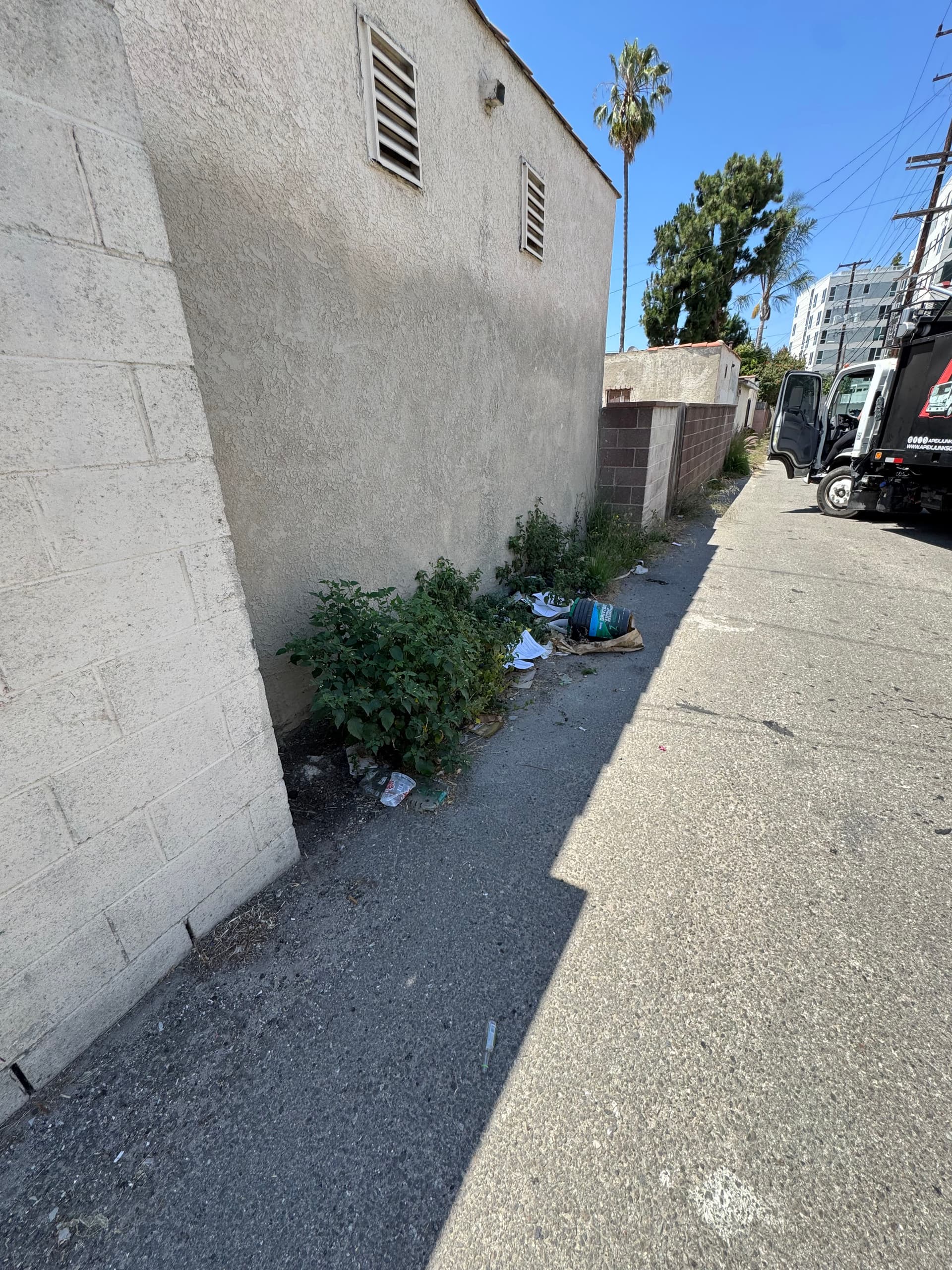 Gallery photos for Side Trash and Debris Cleared Out at a Crenshaw Property: Image #2