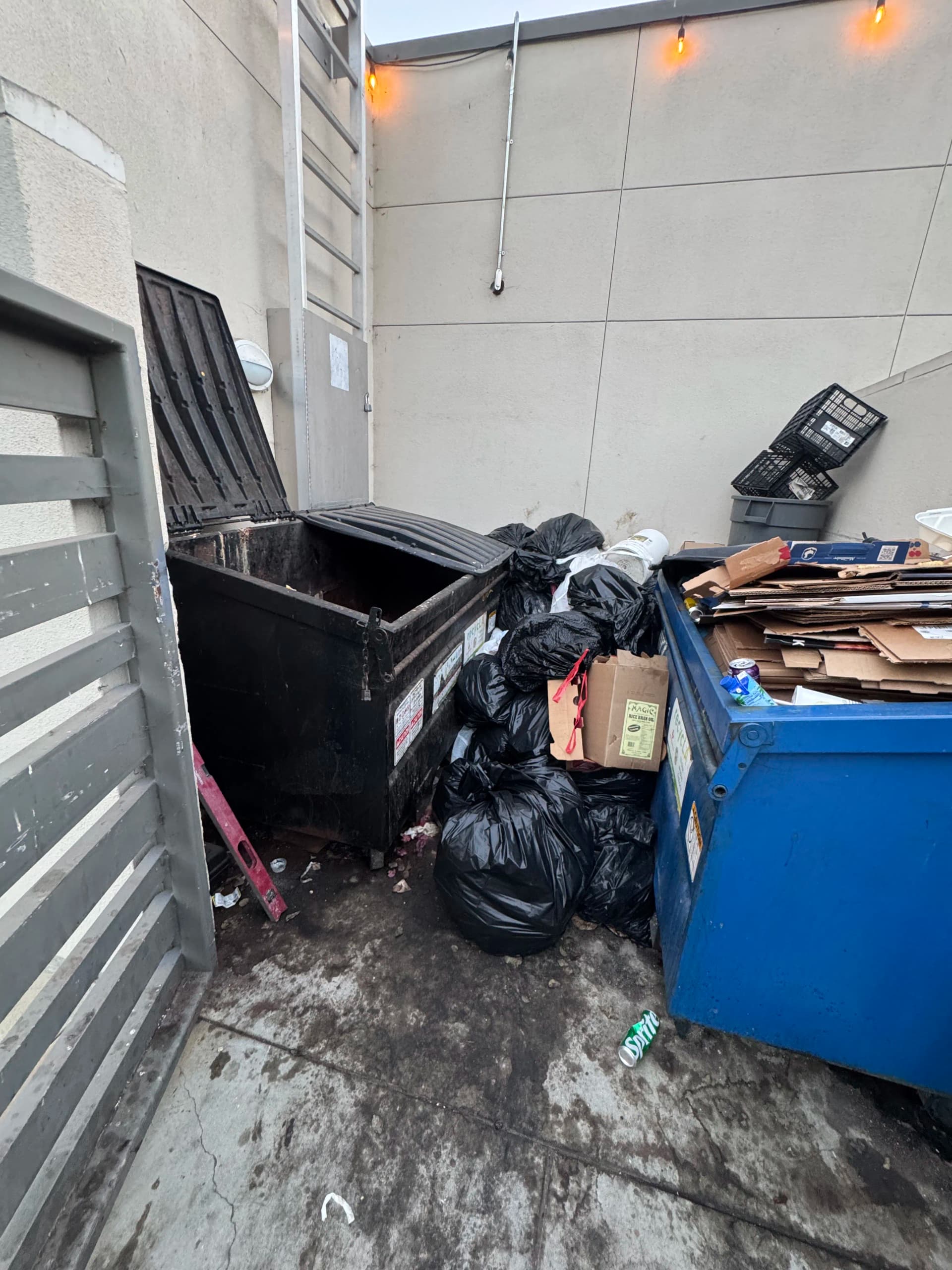 Gallery photos for Commercial Dumpster Emptying and Cleanup in Bel Air Los Angeles: Image #1