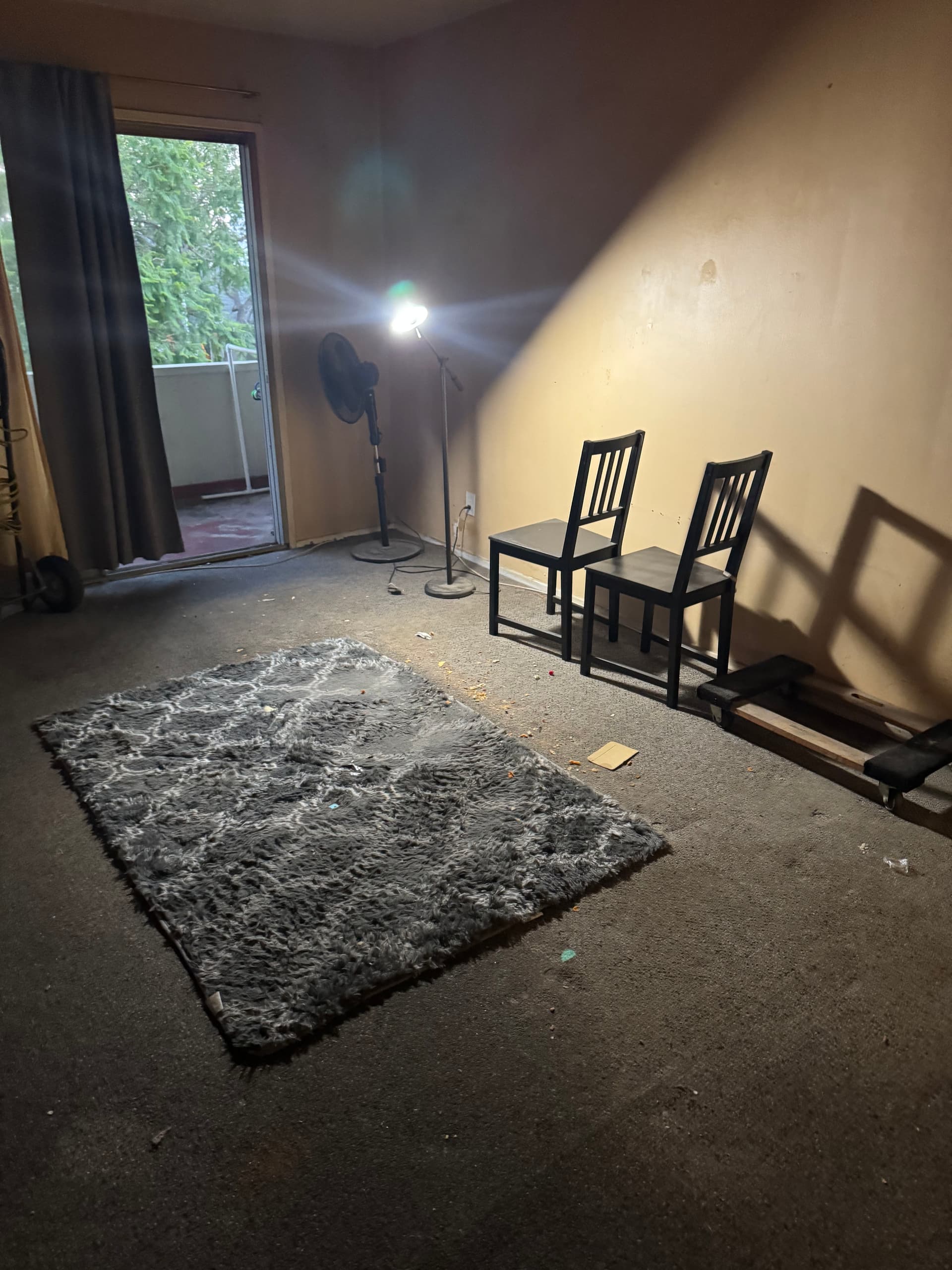 Gallery photos for Smoke-Damaged Apartment Cleanout in West Hollywood: Image #2