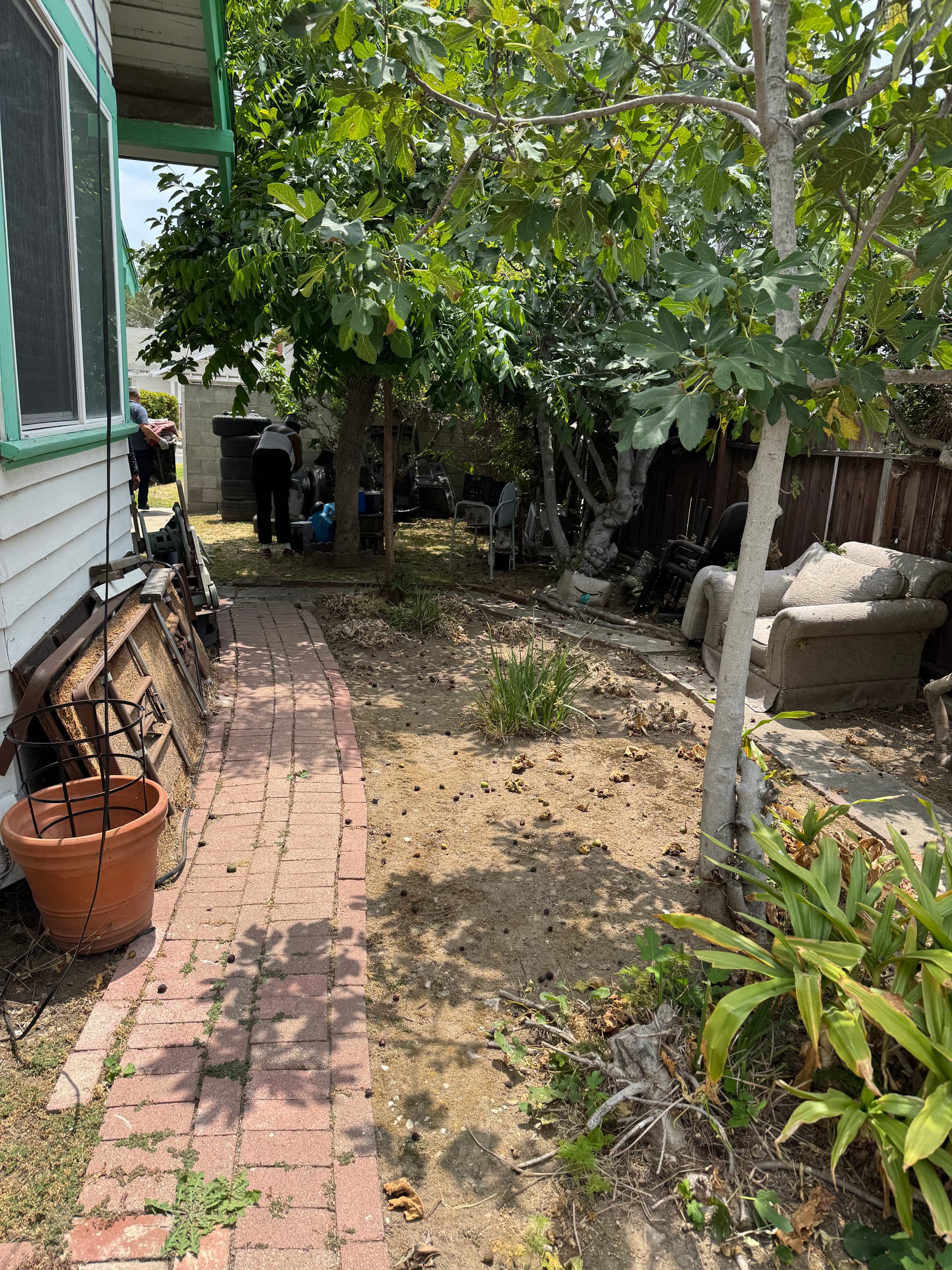 Gallery photos for Backyard Cleanout in Mid City Los Angeles Hauling Heavy Rotten Wood and Bulk Junk: Image #1